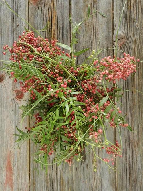 HANGING PEPPERBERRY  RED BERRIES